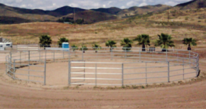 50' Round Pen