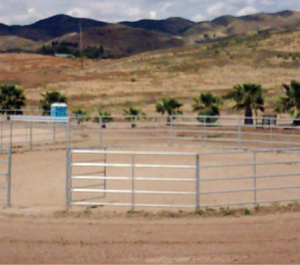 50' Round Pen