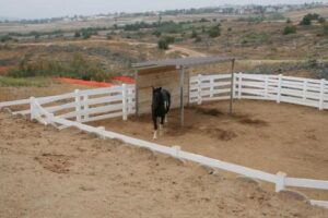 Free Standing Shelters