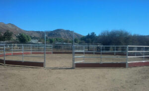 60' Horse Round Pen